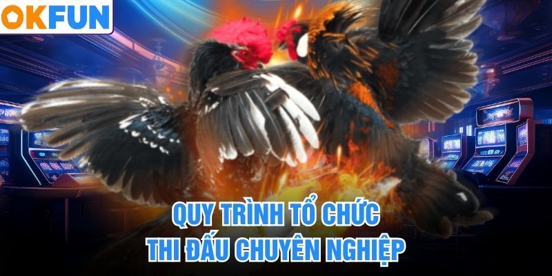 Quy trình tổ chức thi đấu chuyên nghiệp